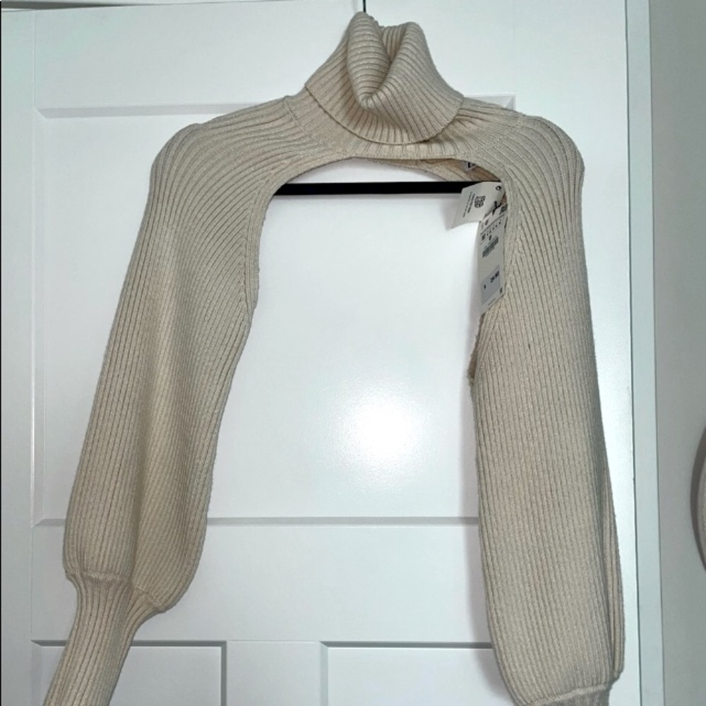 ZARA Turtleneck with Balloon Sleeves